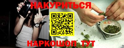 Альфа ПВП Канаш
