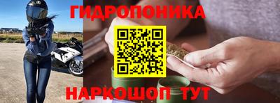 ECSTASY Кингисепп