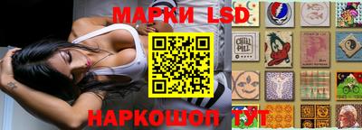 прущие крисы Кандалакша