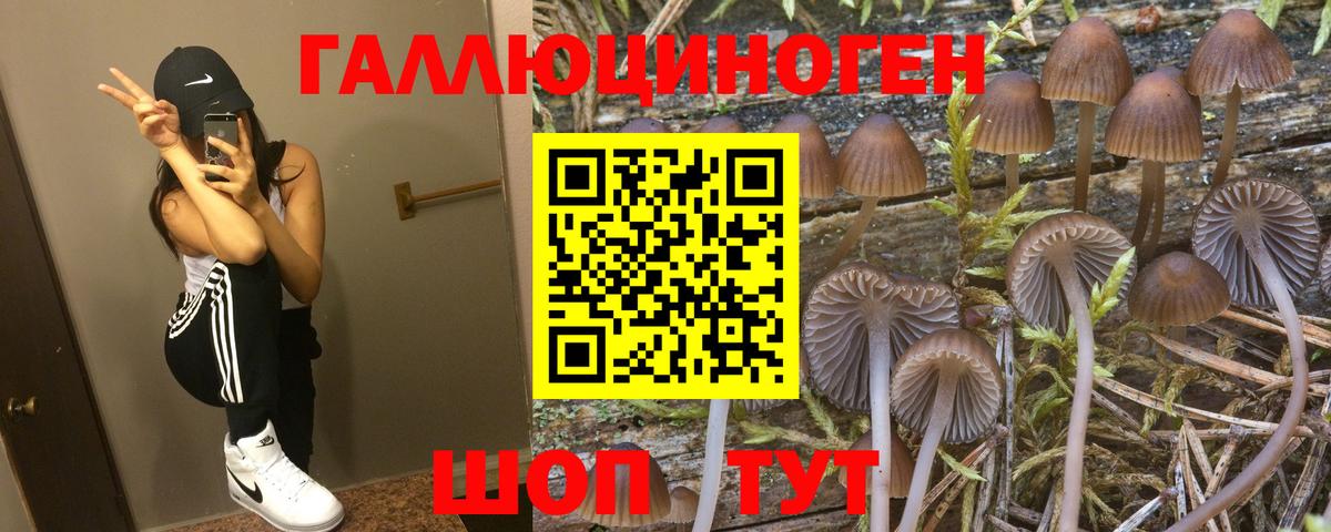 Красноуфимск  Псилоцибиновые грибы мухоморы  Вход с VPN 